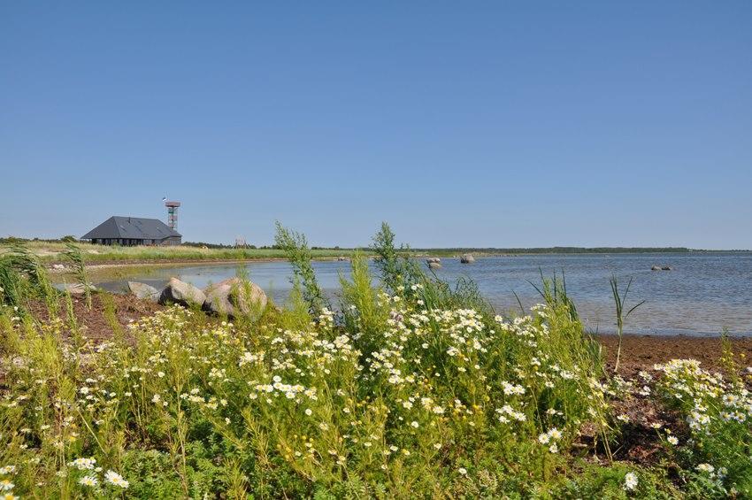 Harbor House Lomalaゲストハウス エクステリア 写真